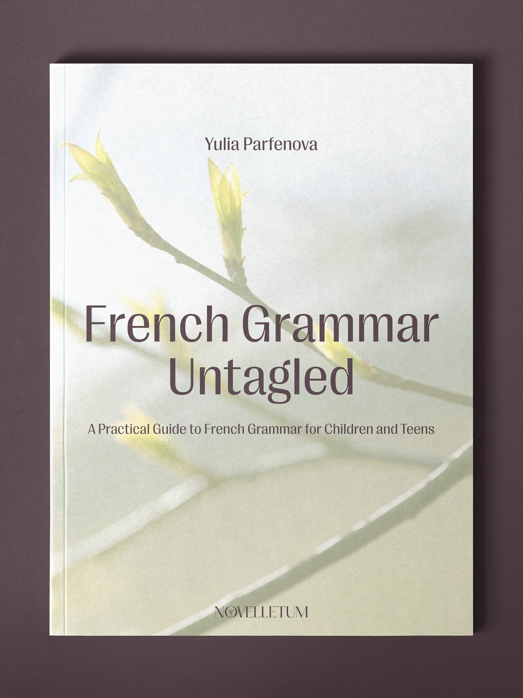 French Grammar Untangled